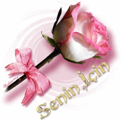 warda sininnnnnnnnnnnnnnnnnnnnnnn